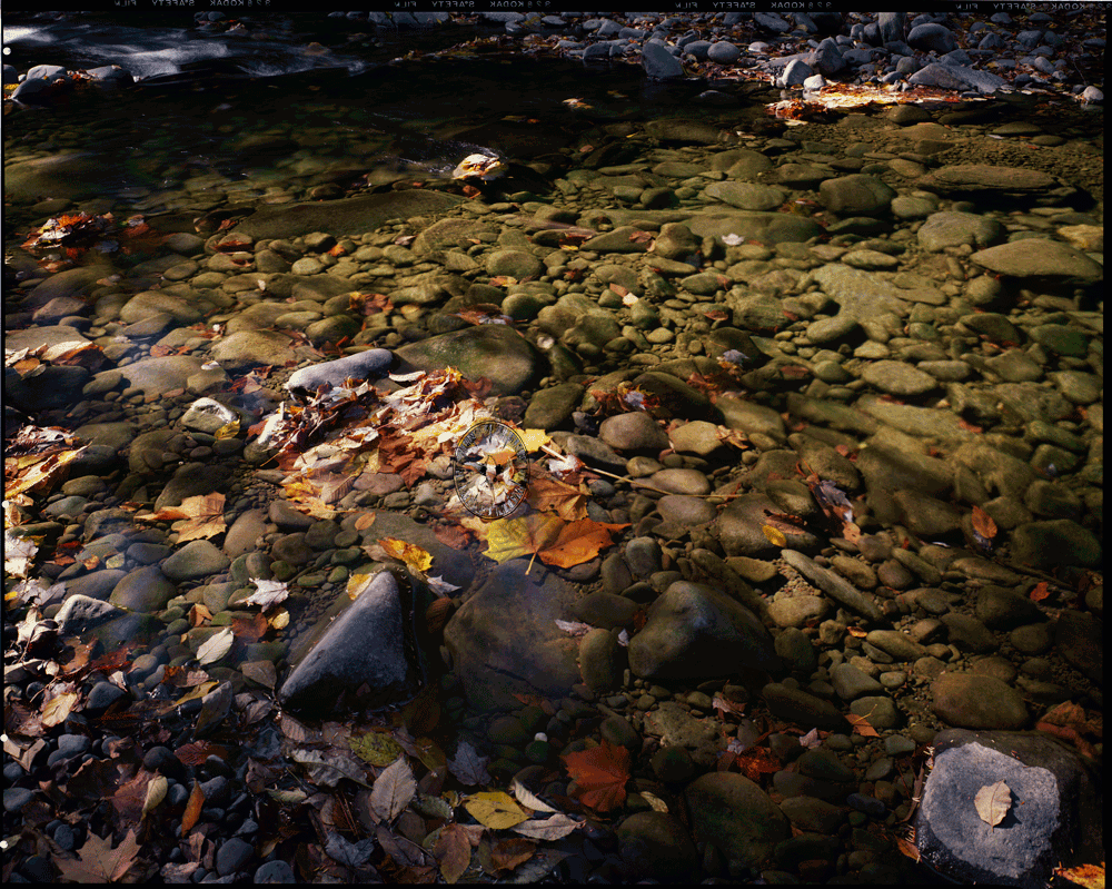 Mink Hollow

        Stream, Fall, Sunlight #2, Lake Hill, NY 1986